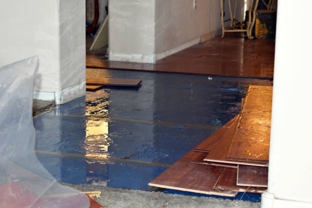 Professional Burst Pipe Cleanup technician working in Wales, WI